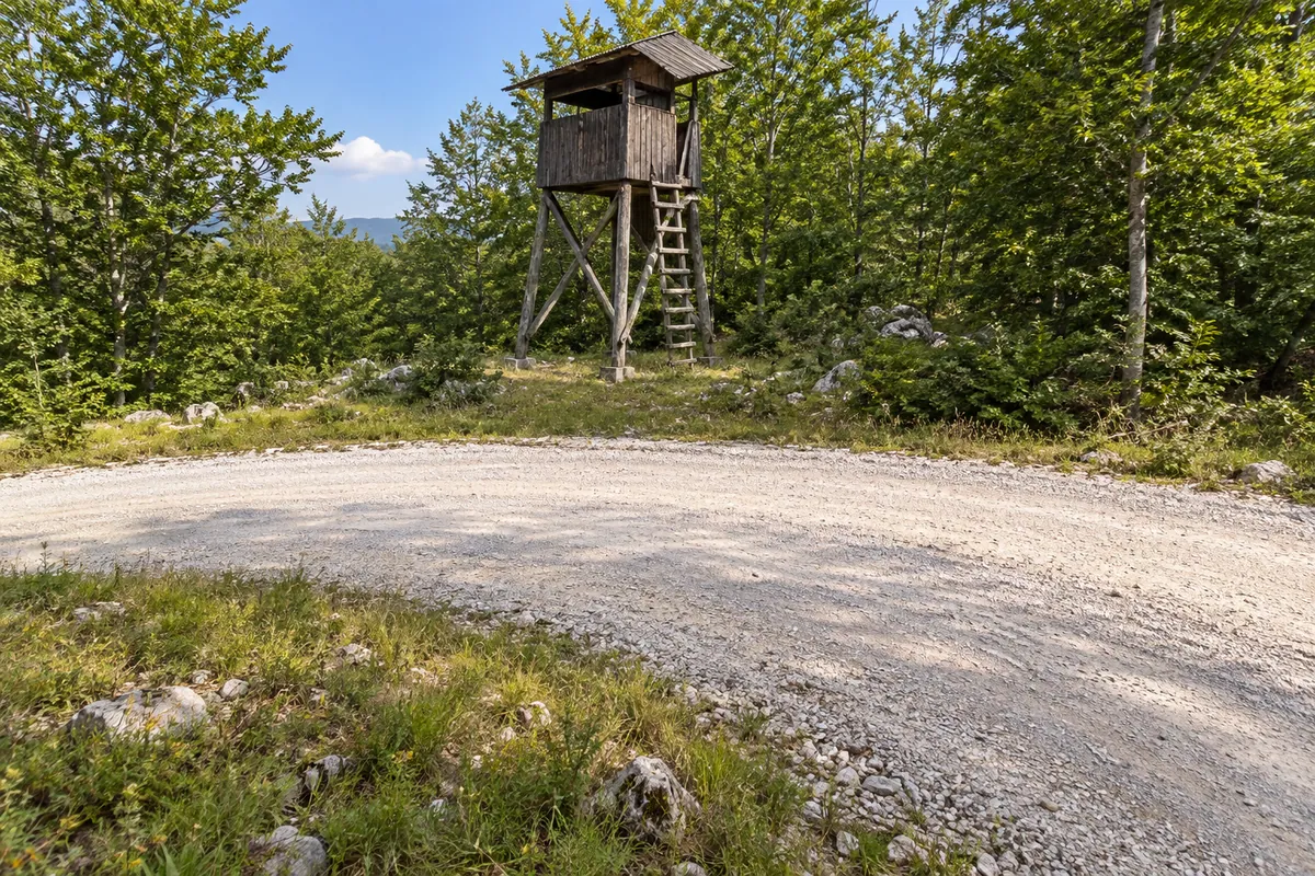 A wooden hunting observation tower stands outside a broad gravel-road bend in beech woodland near Sveti Rok.