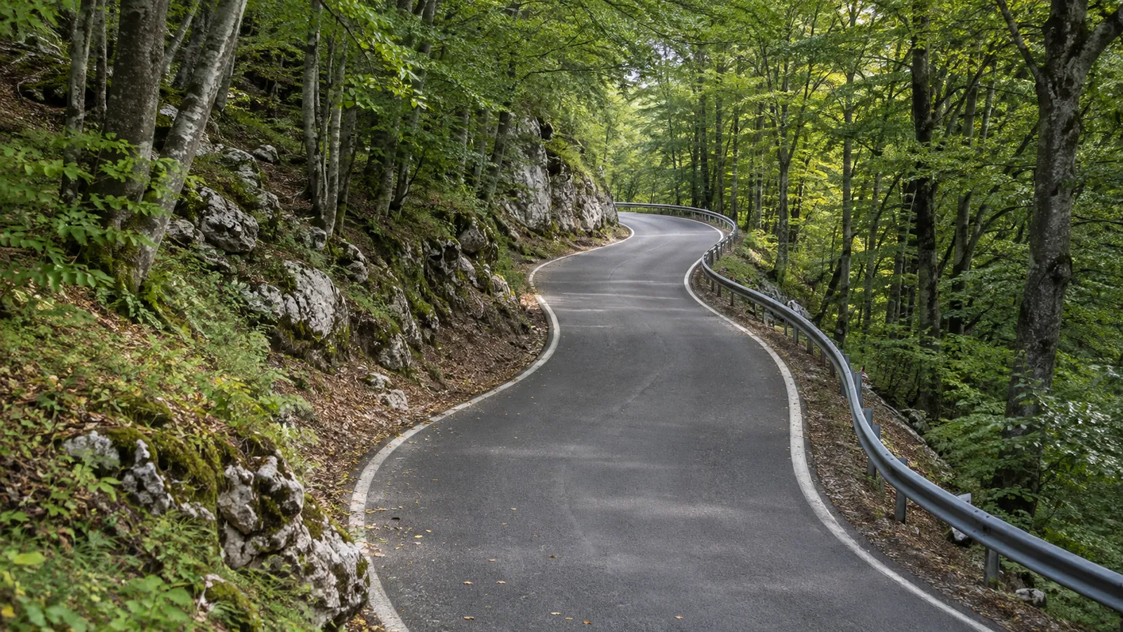 A narrow paved road curves uphill through beech forest and limestone on the public approach to Poklon Pass.